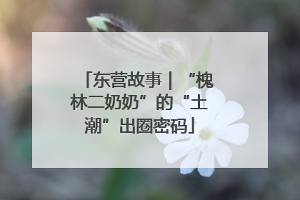 东营故事｜“槐林二奶奶”的“土潮”出圈密码