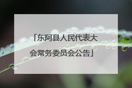 东阿县人民代表大会常务委员会公告