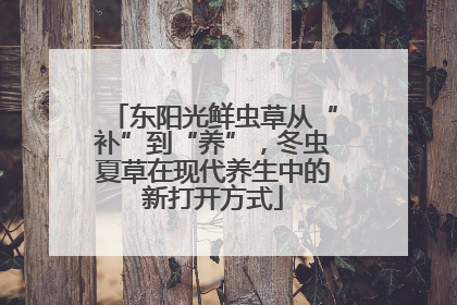 东阳光鲜虫草从“补”到“养”，冬虫夏草在现代养生中的新打开方式