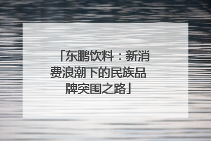 东鹏饮料：新消费浪潮下的民族品牌突围之路