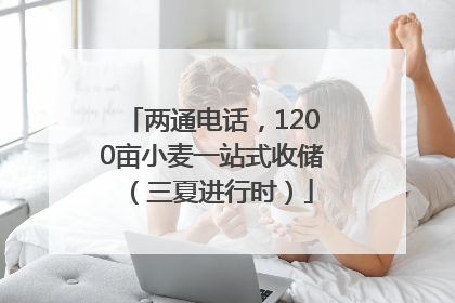 两通电话，1200亩小麦一站式收储（三夏进行时）