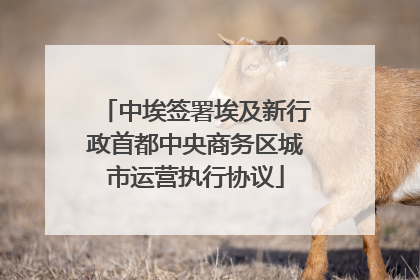 中埃签署埃及新行政首都中央商务区城市运营执行协议