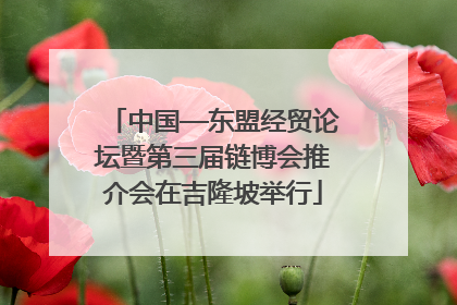 中国—东盟经贸论坛暨第三届链博会推介会在吉隆坡举行