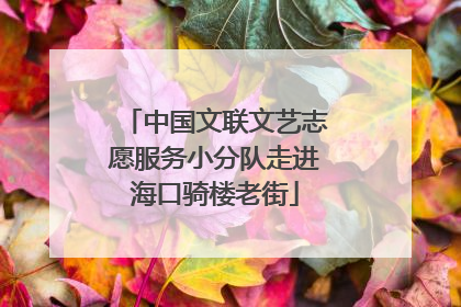 中国文联文艺志愿服务小分队走进海口骑楼老街