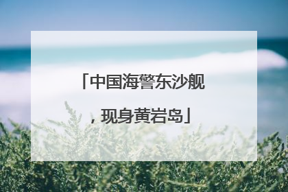 中国海警东沙舰，现身黄岩岛