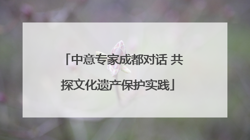中意专家成都对话 共探文化遗产保护实践