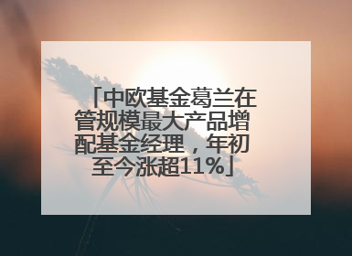 中欧基金葛兰在管规模最大产品增配基金经理，年初至今涨超11%
