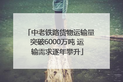 中老铁路货物运输量突破6000万吨 运输需求逐年攀升