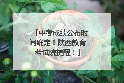 中考成绩公布时间确定！陕西教育考试院提醒！