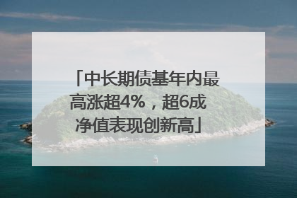 中长期债基年内最高涨超4%，超6成净值表现创新高