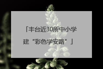 丰台近30所中小学建“彩色学安路”