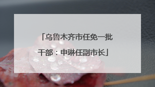 乌鲁木齐市任免一批干部：申琳任副市长