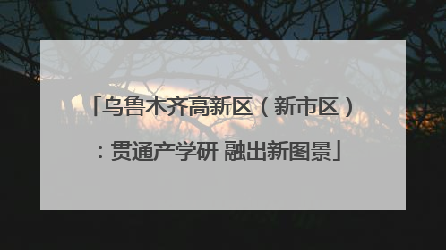 乌鲁木齐高新区（新市区）：贯通产学研 融出新图景