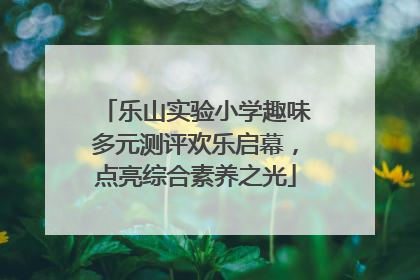乐山实验小学趣味多元测评欢乐启幕，点亮综合素养之光