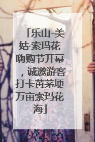 乐山-美姑·索玛花嗨购节开幕，诚邀游客打卡黄茅埂万亩索玛花海