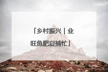 乡村振兴｜业旺鱼肥夏捕忙