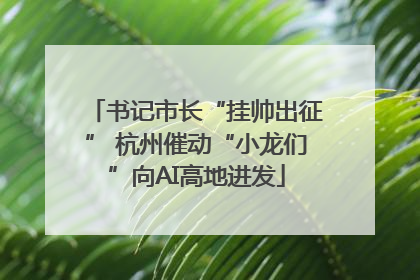 书记市长“挂帅出征” 杭州催动“小龙们”向AI高地进发