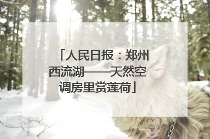 人民日报：郑州西流湖——天然空调房里赏莲荷