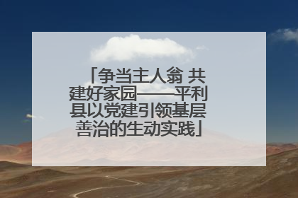 争当主人翁 共建好家园——平利县以党建引领基层善治的生动实践