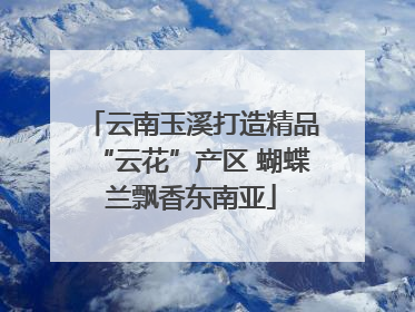 云南玉溪打造精品“云花”产区 蝴蝶兰飘香东南亚