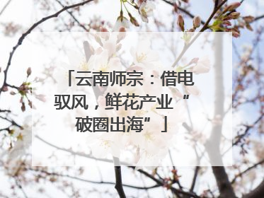 云南师宗：借电驭风，鲜花产业“破圈出海”