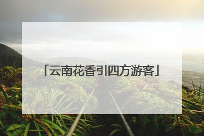 云南花香引四方游客