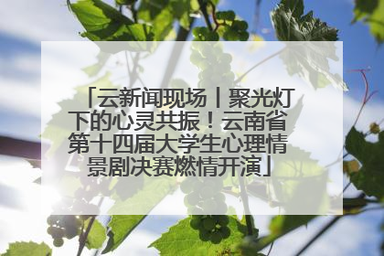 云新闻现场丨聚光灯下的心灵共振！云南省第十四届大学生心理情景剧决赛燃情开演