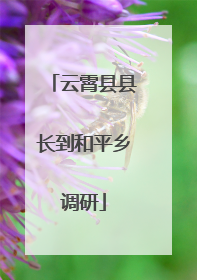云霄县县长到和平乡调研