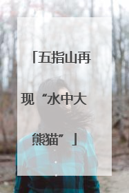 五指山再现“水中大熊猫”