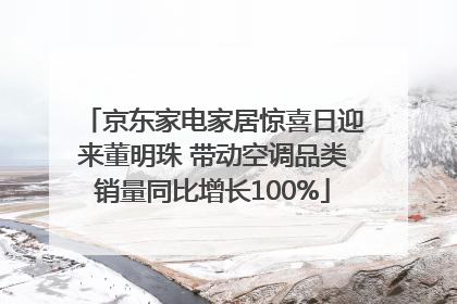 京东家电家居惊喜日迎来董明珠 带动空调品类销量同比增长100%