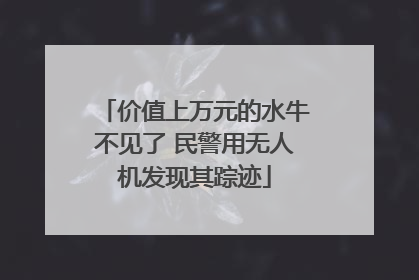 价值上万元的水牛不见了 民警用无人机发现其踪迹