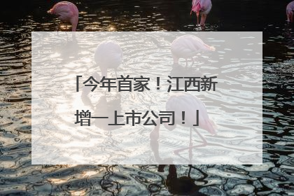 今年首家！江西新增一上市公司！