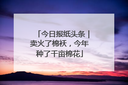 今日报纸头条｜卖火了棉袄，今年种了千亩棉花