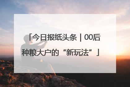 今日报纸头条｜00后种粮大户的“新玩法”
