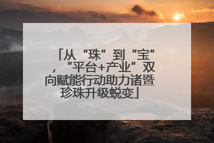 从“珠”到“宝”，“平台+产业”双向赋能行动助力诸暨珍珠升级蜕变