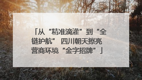 从“精准滴灌”到“全链护航” 四川朝天擦亮营商环境“金字招牌”