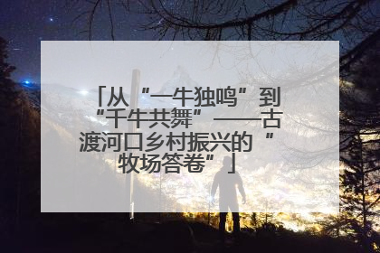 从“一牛独鸣”到“千牛共舞”——古渡河口乡村振兴的“牧场答卷”