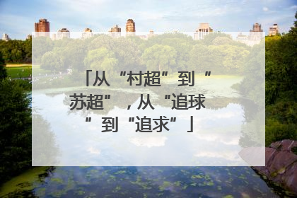 从“村超”到“苏超”，从“追球”到“追求”