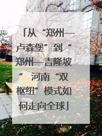 从“郑州—卢森堡”到“郑州—吉隆坡” 河南“双枢纽”模式如何走向全球