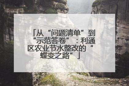 从“问题清单”到“示范答卷”：利通区农业节水整改的“蝶变之路”
