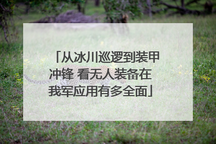 从冰川巡逻到装甲冲锋 看无人装备在我军应用有多全面