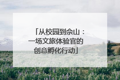 从校园到佘山：一场文旅体验官的创意孵化行动