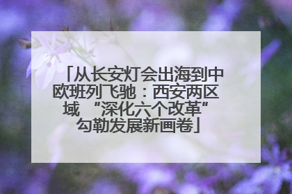 从长安灯会出海到中欧班列飞驰：西安两区域 “深化六个改革” 勾勒发展新画卷