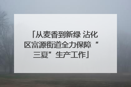 从麦香到新绿 沾化区富源街道全力保障“三夏”生产工作