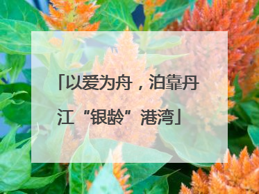以爱为舟，泊靠丹江“银龄”港湾