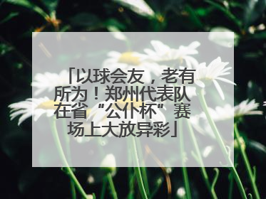 以球会友，老有所为！郑州代表队在省“公仆杯”赛场上大放异彩