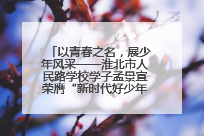 以青春之名，展少年风采——淮北市人民路学校学子孟景宣荣膺“新时代好少年”荣誉称号