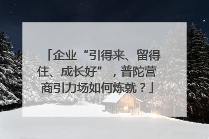 企业“引得来、留得住、成长好”，普陀营商引力场如何炼就？