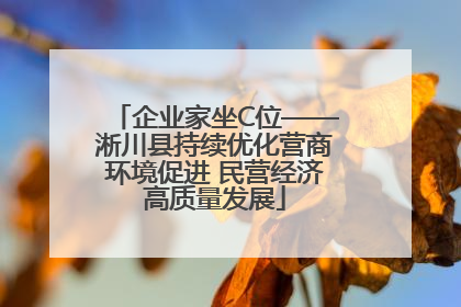 企业家坐C位——淅川县持续优化营商环境促进 民营经济高质量发展