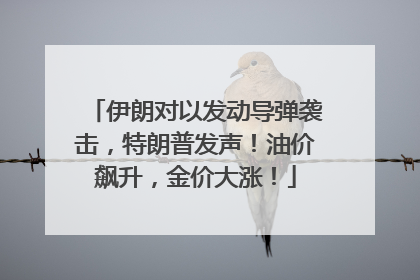 伊朗对以发动导弹袭击，特朗普发声！油价飙升，金价大涨！